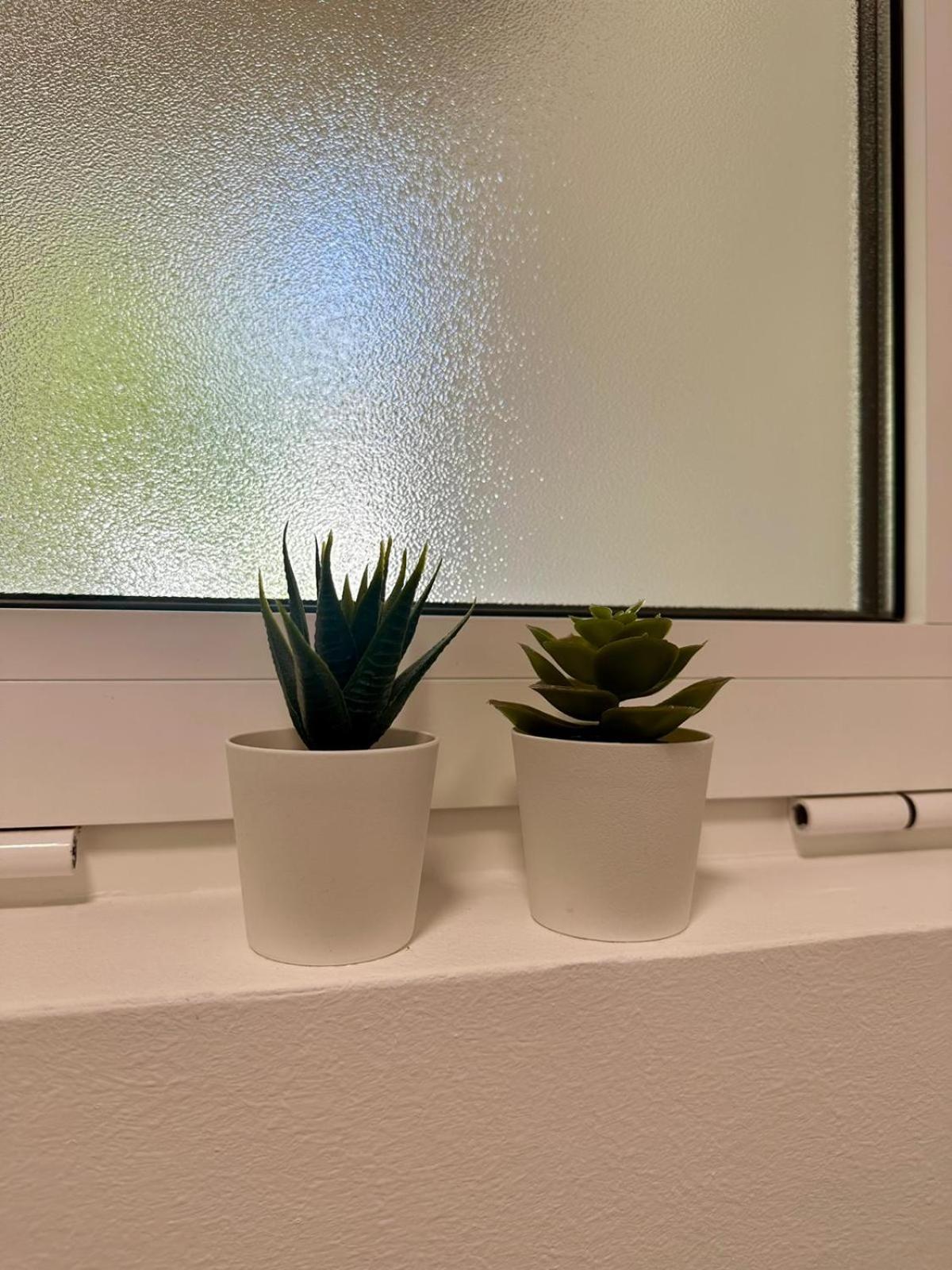 Lozina Apartma Drvenik (Split-Dalmatia)